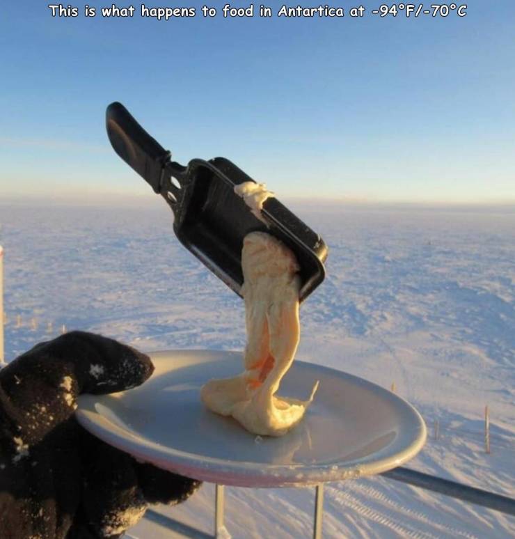 cooking meal in antarctica - This is what happens to food in Antartica at 94F70C