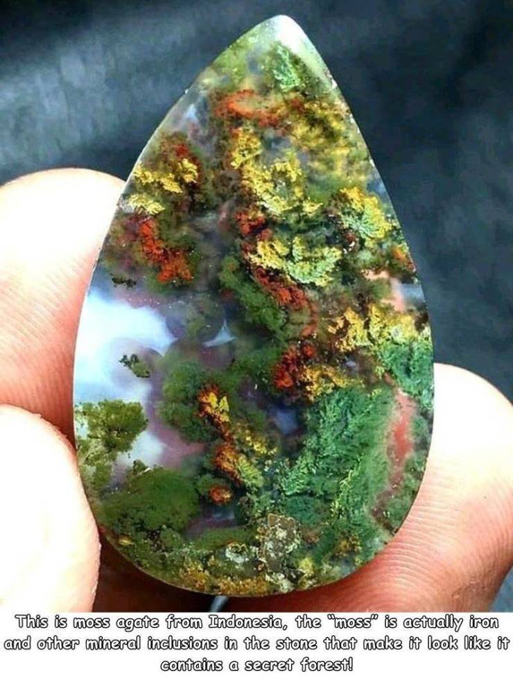 mineral - This is moss agate from Indonesia, the moss" is actually iron and other mineral inclusions in the stone that make it look it contains a secret forest!