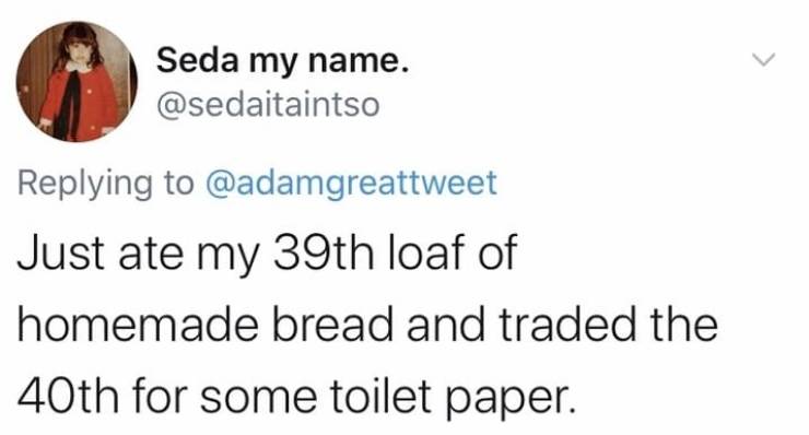 document - Seda my name. Just ate my 39th loaf of homemade bread and traded the 40th for some toilet paper.