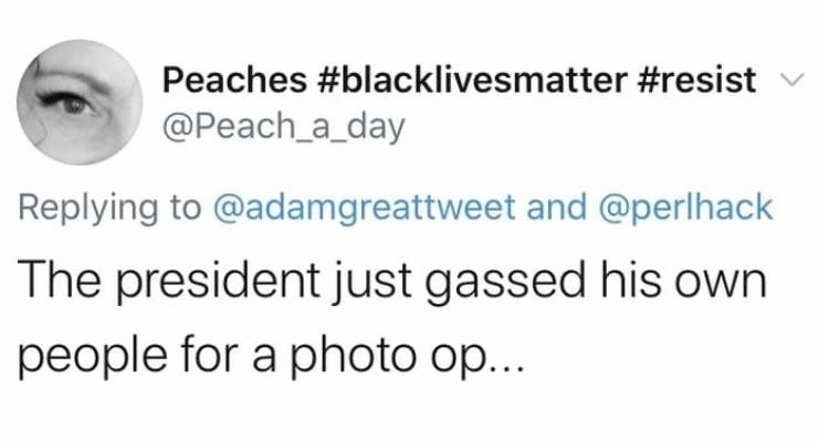 smile - Peaches and The president just gassed his own people for a photo op...