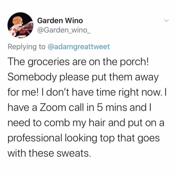 Garden Wino The groceries are on the porch! Somebody please put them away for me! I don't have time right now. I have a Zoom call in 5 mins and I need to comb my hair and put on a professional looking top that goes with these sweats.