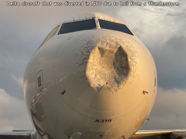 aviation - Delta aircraft that was diverted in Nyc due to hail from a thunderstorm A319