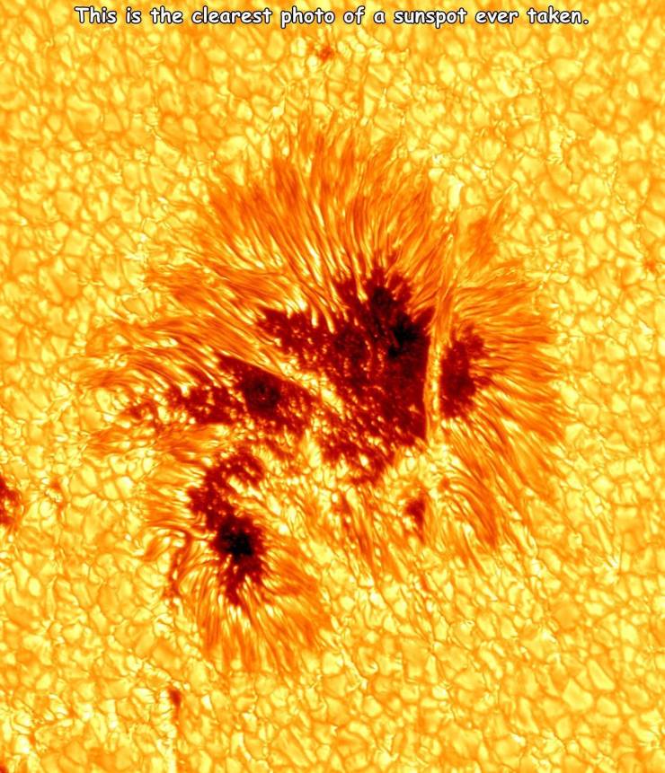 big bear solar observatory sunspot - This is the clearest photo of a sunspot ever taken.
