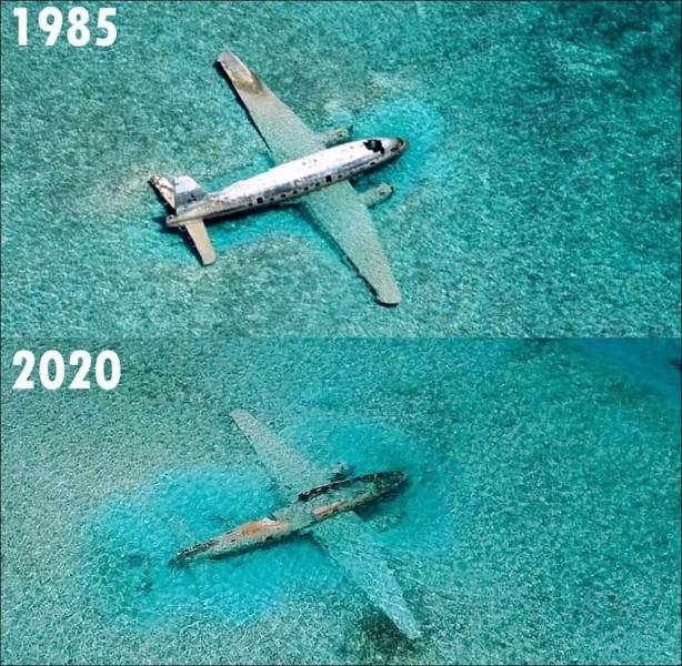 bermuda triangle wrecks - 198S 2020