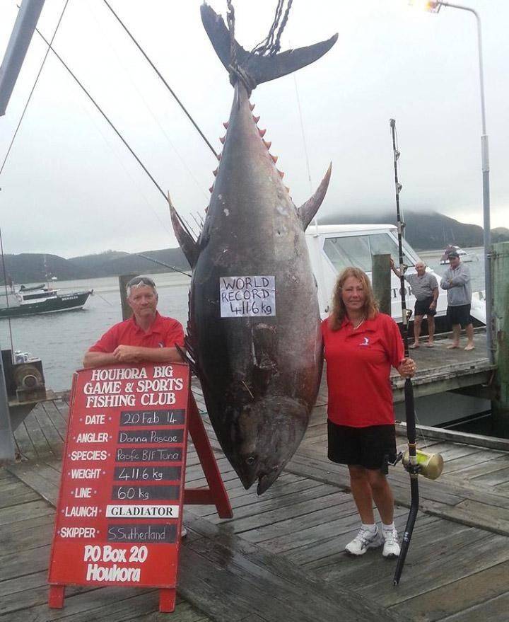 World Record 4116 kg Houhora Big Game & Sports Fishing Club Date 20 Feb 14 Angler Donna Pascoe Species Pacific Bif Tuna Weight 4116 kg Line 60kg Launch Gladiator Skipper SSutherland Po.Box 20 Houbora