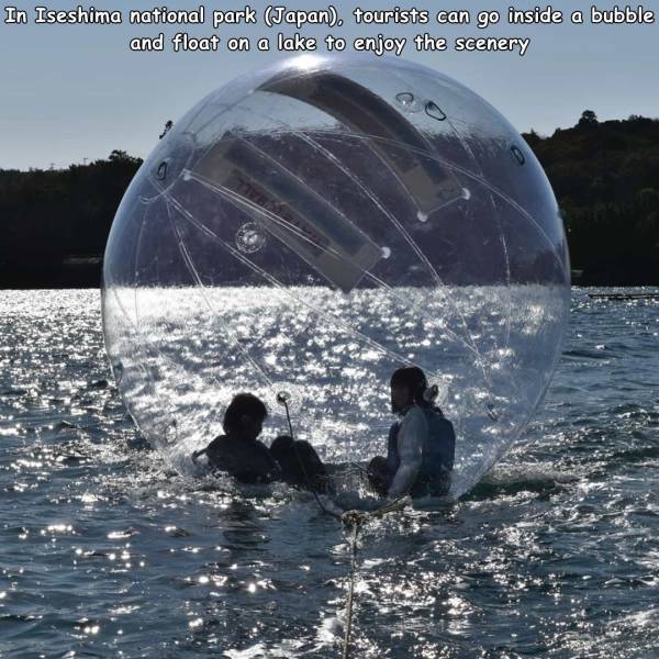 random pics and memes - water - In Iseshima national park Japan. tourists can go inside a bubble and float on a lake to enjoy the scenery
