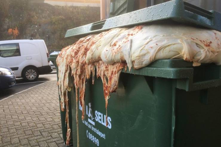 pizza dough garbage