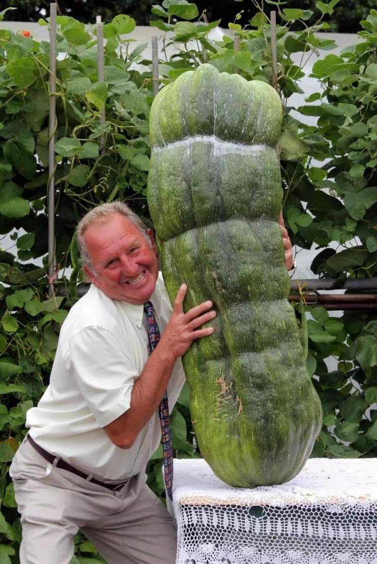 funny pics - giant vegetables