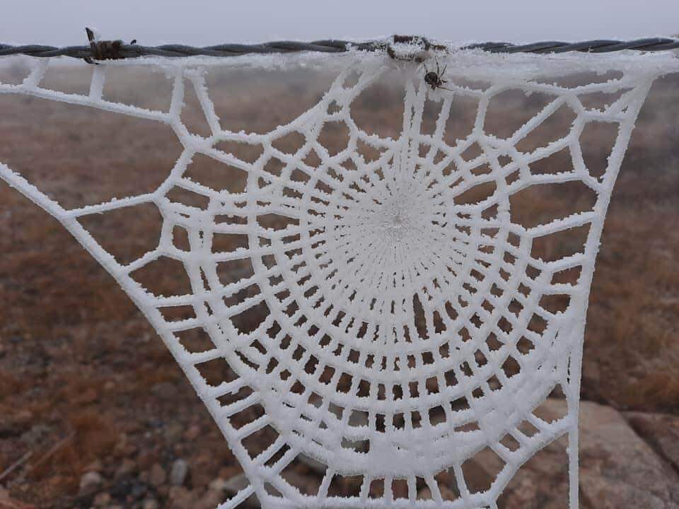 spiderweb made by hand