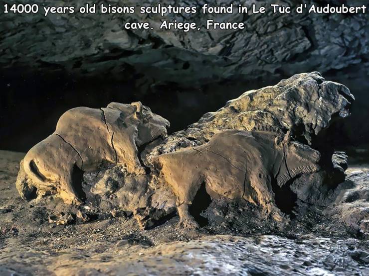 funny random pics - bison le tuc d audoubert - 14000 years old bisons sculptures found in Le Tuc d'Audoubert cave. Ariege, France