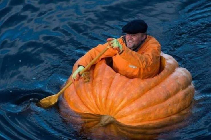 funny random pics - worlds largest pumpkin