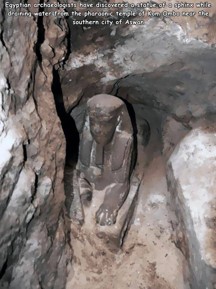 funny random pics - new sphinx found in egypt - Egyptian archaeologists have discovered a statue of a sphinx while draining water from the pharaonic temple of Kom Ombo near the southern city of Aswan