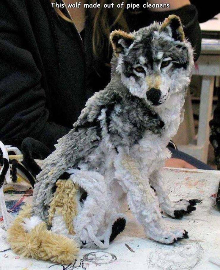 funny random pics - pipe cleaner wolf - This wolf made out of pipe cleaners
