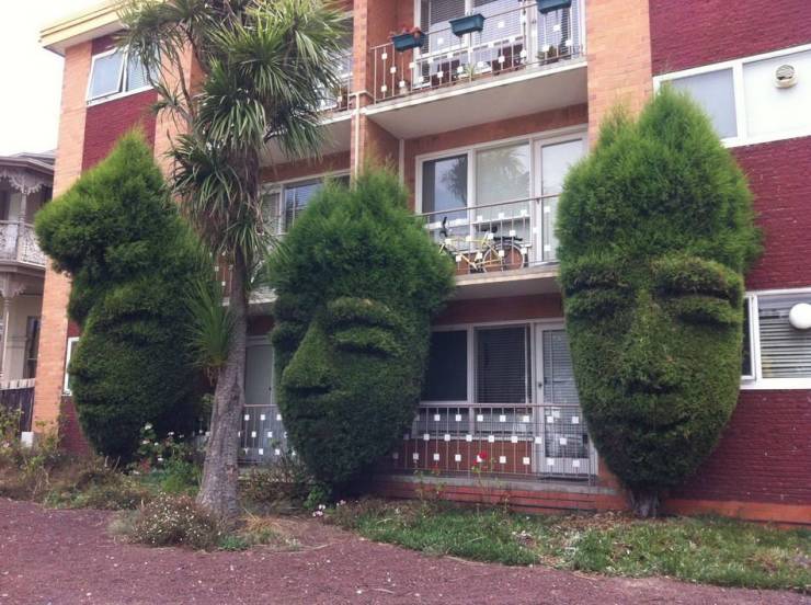 Topiary