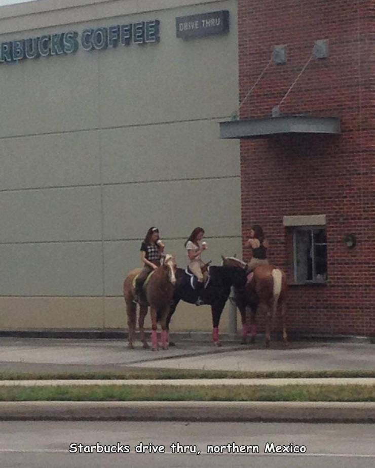 cool pics - horse starbucks - Dhe Treu Rbucks Coffee Starbucks drive thru, northern Mexico