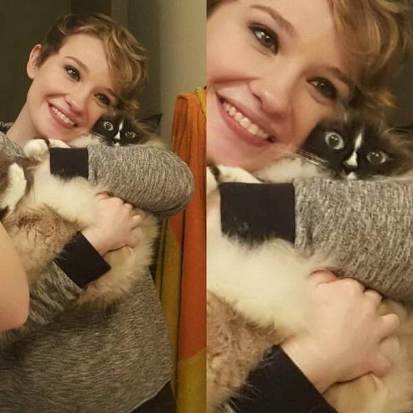 cat scared of woman hugging her too much