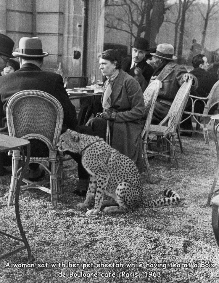 paris 1963 - A woman sat with her pet cheetah while having tea at a Bois de Boulogne cafe, Paris, 1963
