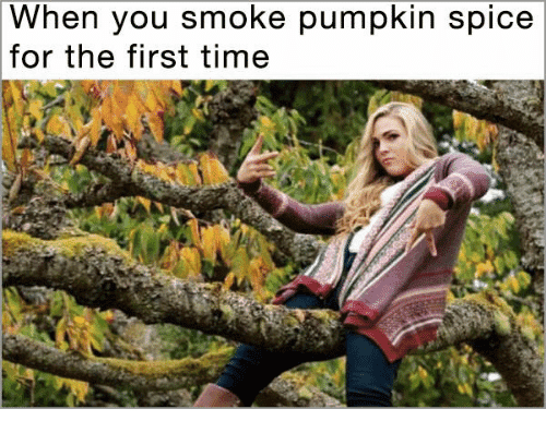basic pumpkin spice meme - When you smoke pumpkin spice for the first time