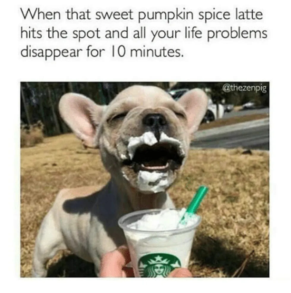 pumpkin spice lattes meme - When that sweet pumpkin spice latte hits the spot and all your life problems disappear for 10 minutes.
