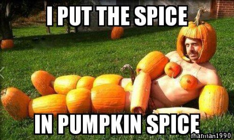 pumpkin meme - I Put The Spice In Pumpkin Spice Thaman1990