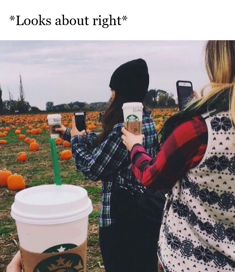 basic white girl memes - Looks about right M