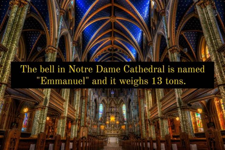 notre-dame cathedral basilica - The bell in Notre Dame Cathedral is named "Emmanuel" and it weighs 13 tons.