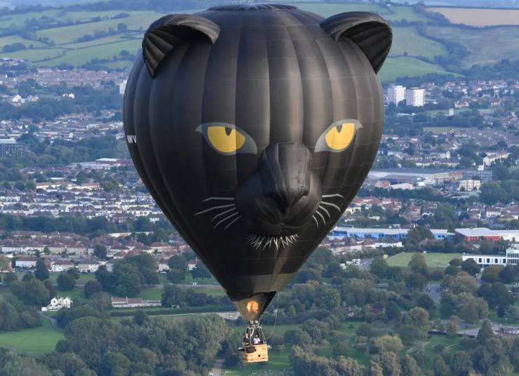 hot air balloon with black panther face on it