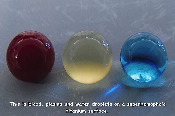 This is blood, plasma and water droplets on a superhemophoic titanium surface.