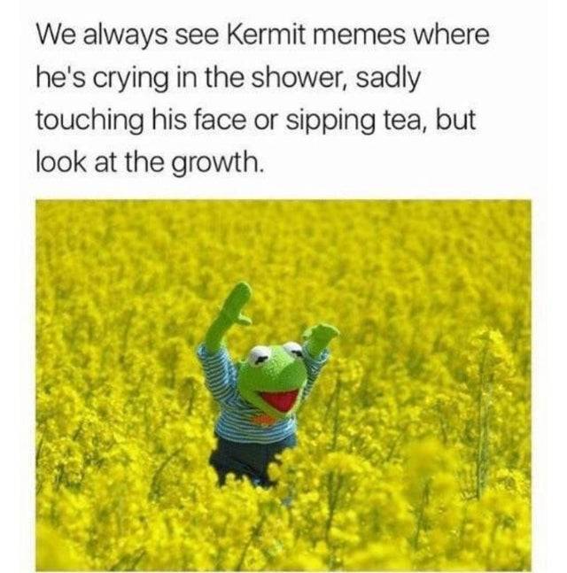 kermit field meme - We always see Kermit memes where he's crying in the shower, sadly touching his face or sipping tea, but look at the growth.