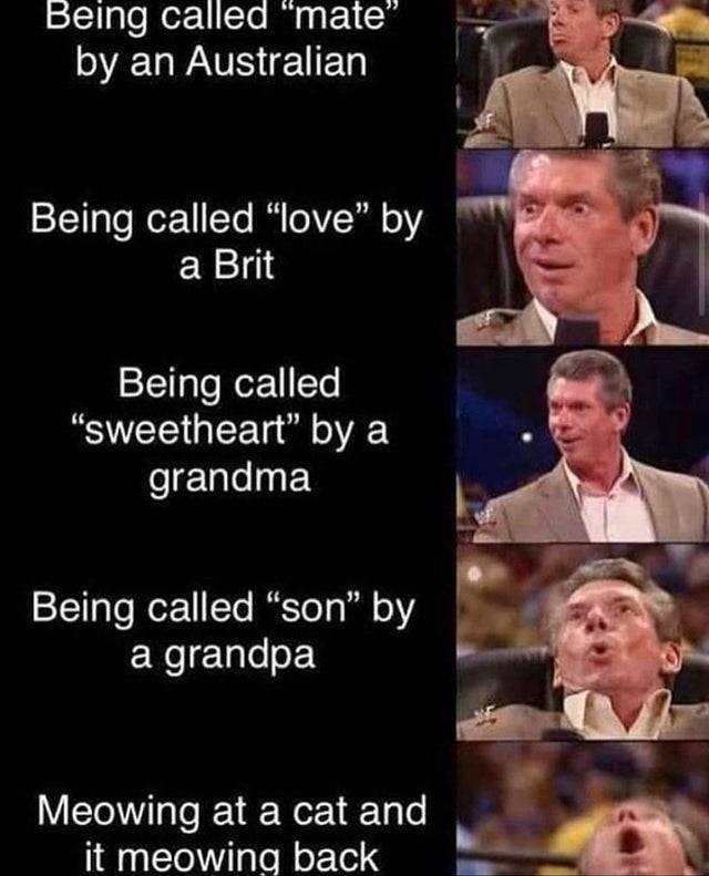 being called meme - Being called "mate' by an Australian Being called "love" by a Brit Being called "sweetheart" by a grandma Being called "son" by a grandpa Meowing at a cat and it meowing back