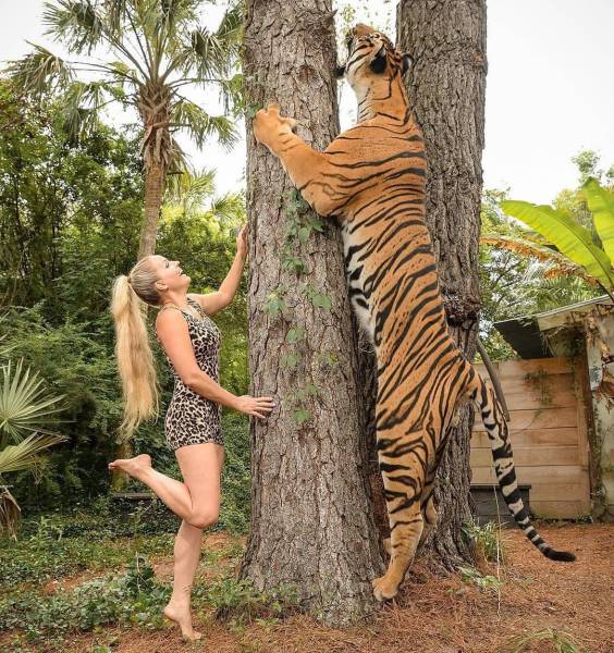 funny random pics - hot blonde and tiger standing up