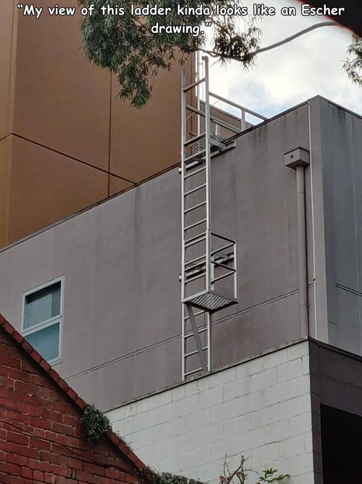 funny pics - wall - "My view of this ladder kinda looks an Escher drawing."