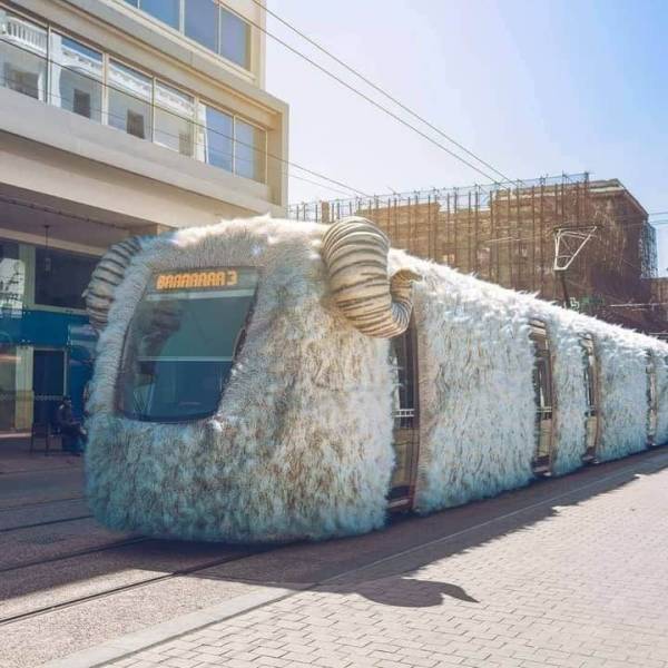 train prepared on the occasion of eid ul adha in morocco