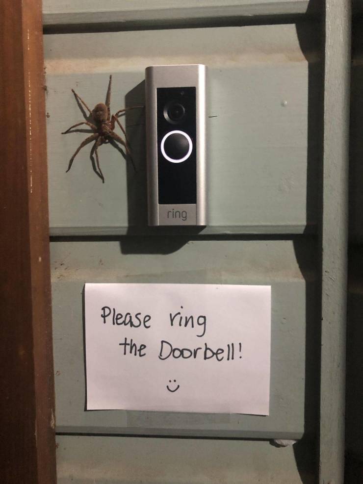 O ring Please ring the Doorbell!