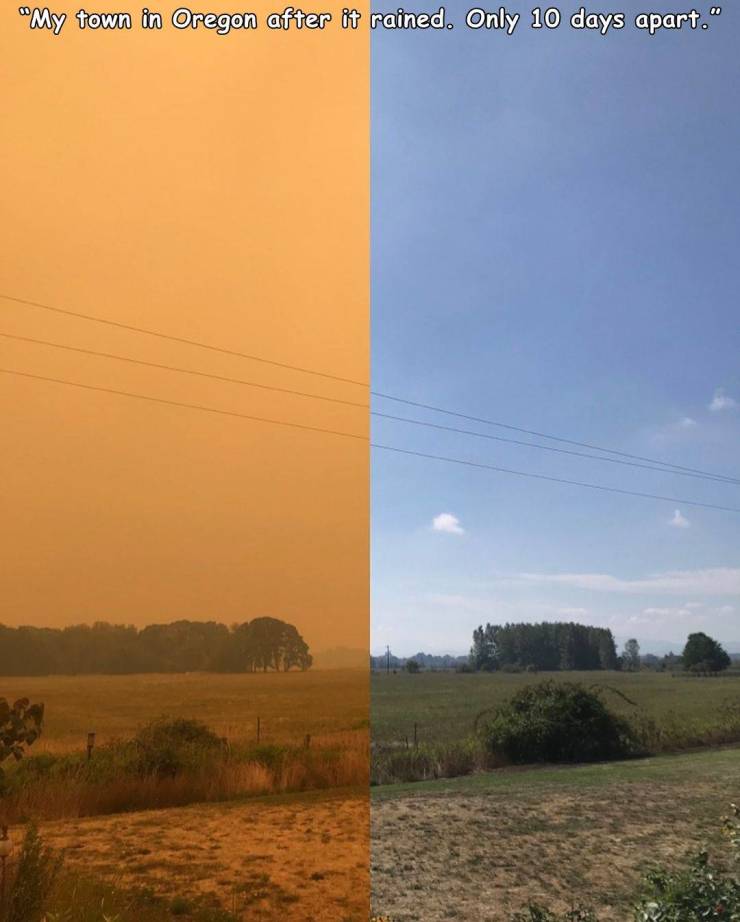 sky - "My town in Oregon after it rained. Only 10 days apart."
