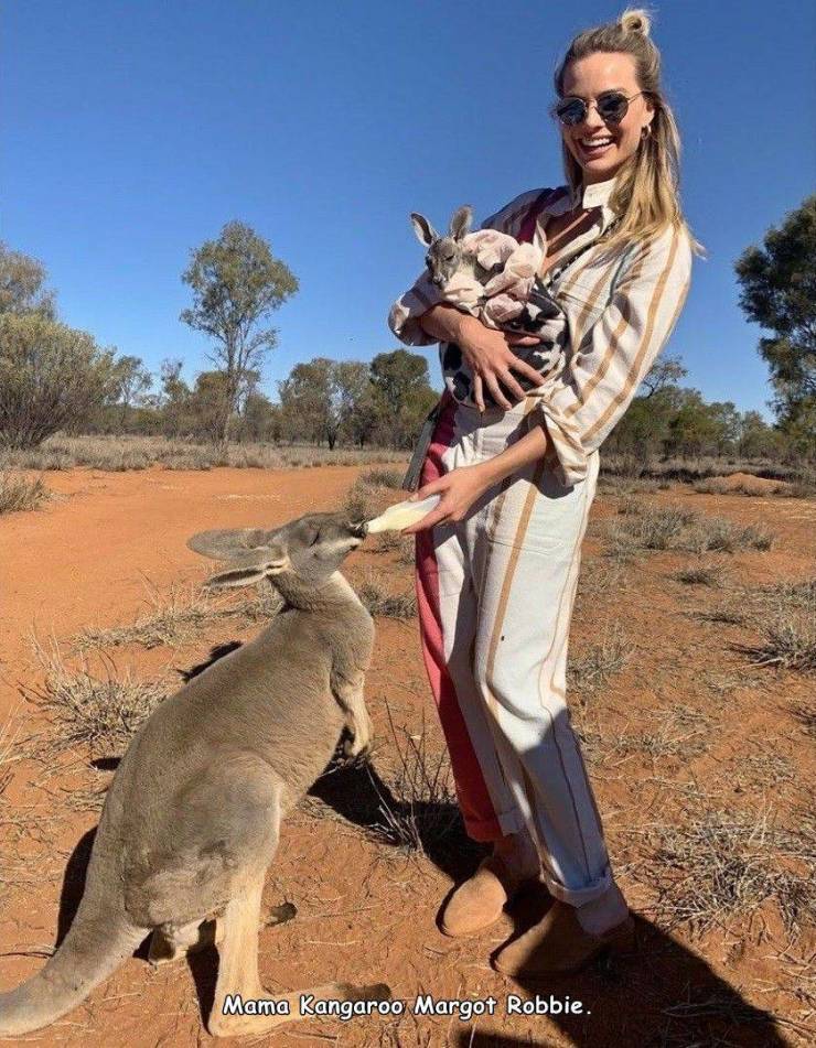 margot robbie kangaroo - Mama Kangaroo Margot Robbie.