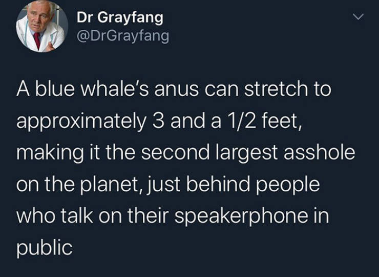 funny memes and pics - me panicking meme - Dr Grayfang A blue whale's anus can stretch to approximately 3 and a 12 feet, making it the second largest asshole on the planet, just behind people who talk on their speakerphone in public