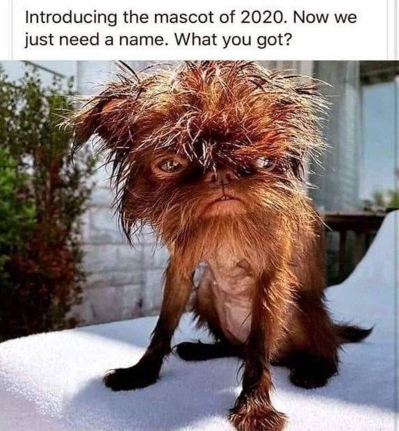 50 Quick Pics and Funny Memes For Bored Minds - Funny Gallery | eBaum's ...