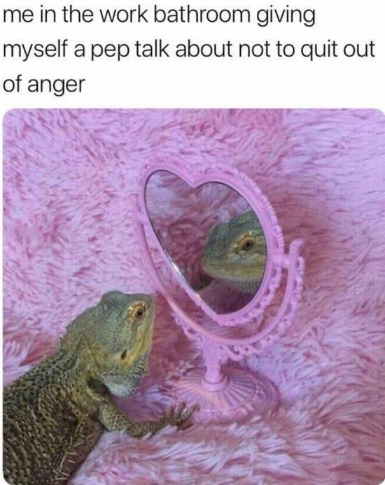 funny memes and pics - me in the work bathroom giving myself - me in the work bathroom giving myself a pep talk about not to quit out of anger