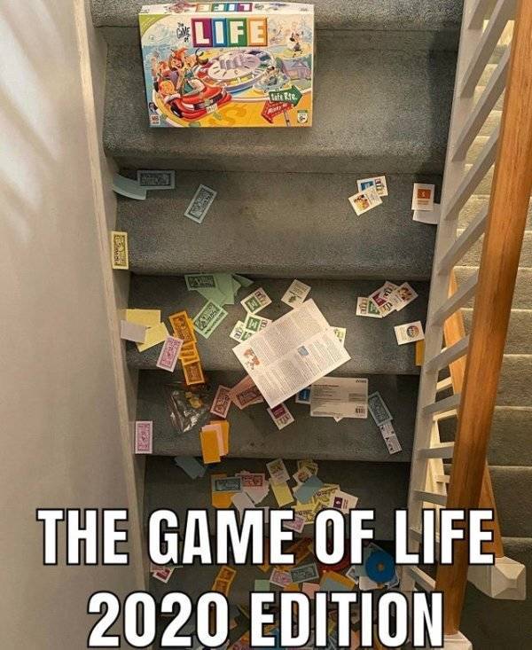 funny memes and pics - furniture - Lifi Luterte 10 The Game Of Life 2020 Edition