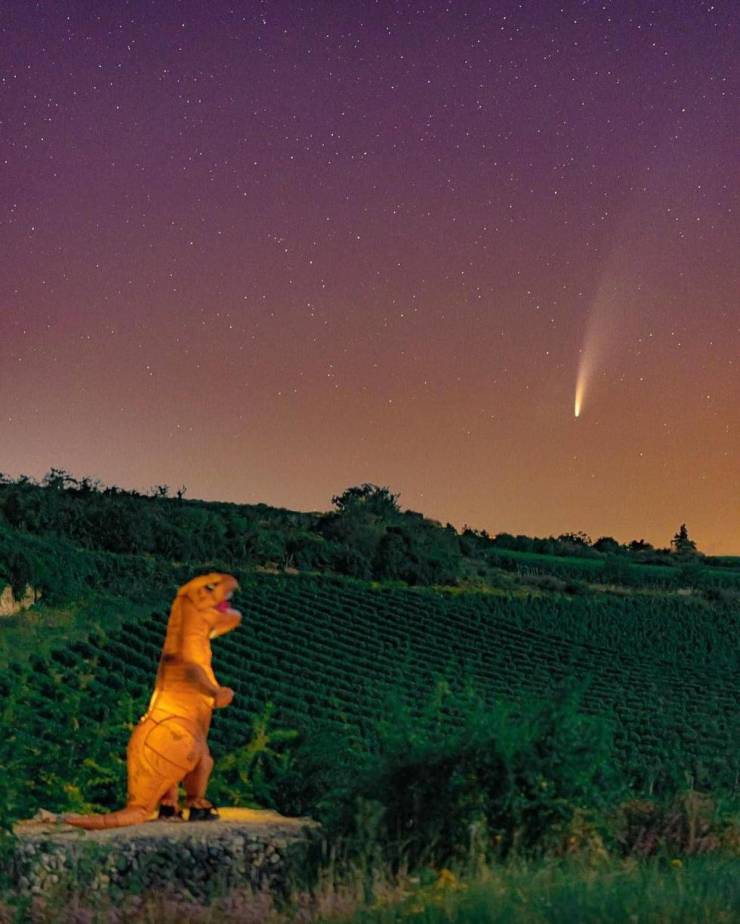 neowise comet dinosaur