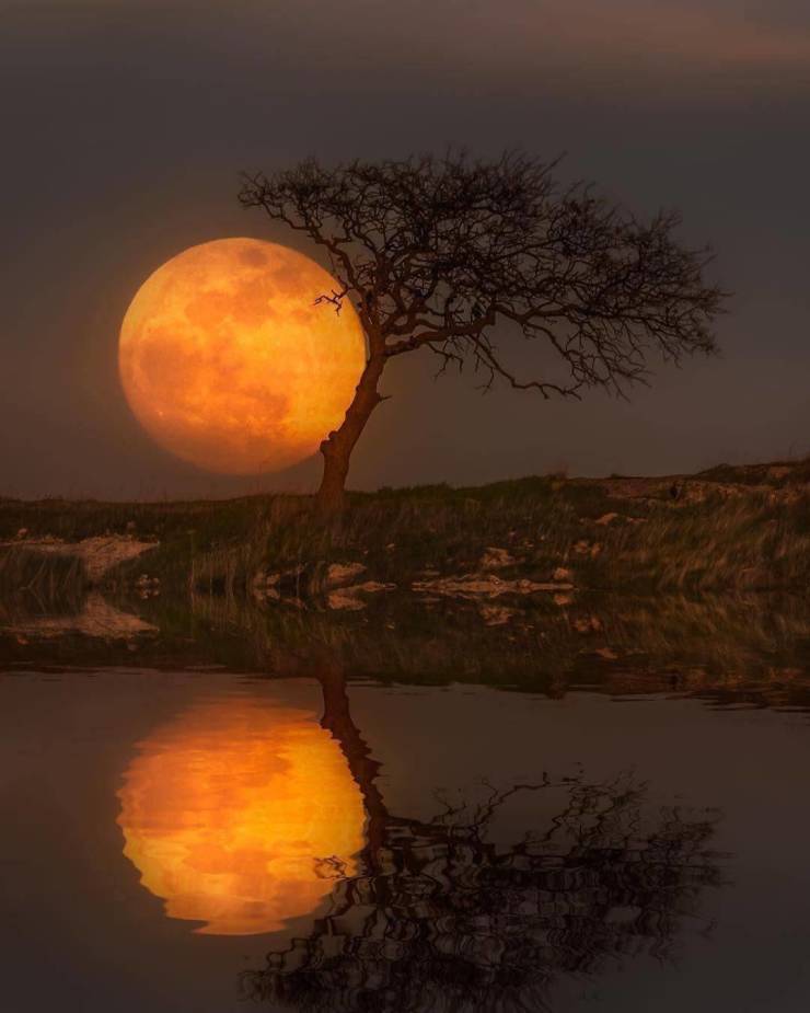 moonrise reflection