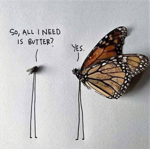 so all i need is butterfly - So, All I Need Is Butter? Yes.