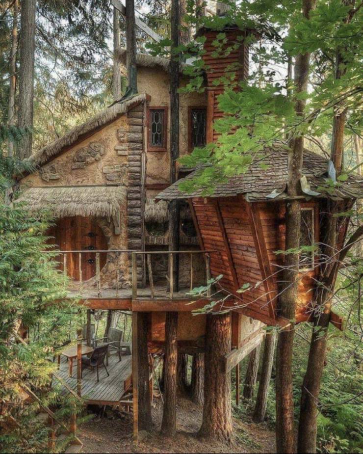 tree houses