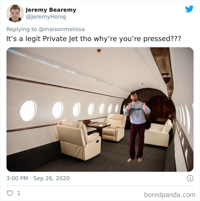 It's a legit Private Jet tho why're you're pressed??? Adil 1 boredpanda.com