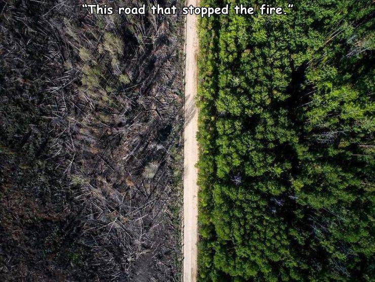 "This road that stopped the fire."