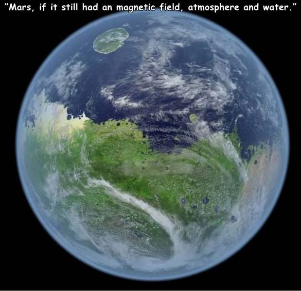 if mars had water - "Mars, if it still had an magnetic field, atmosphere and water."