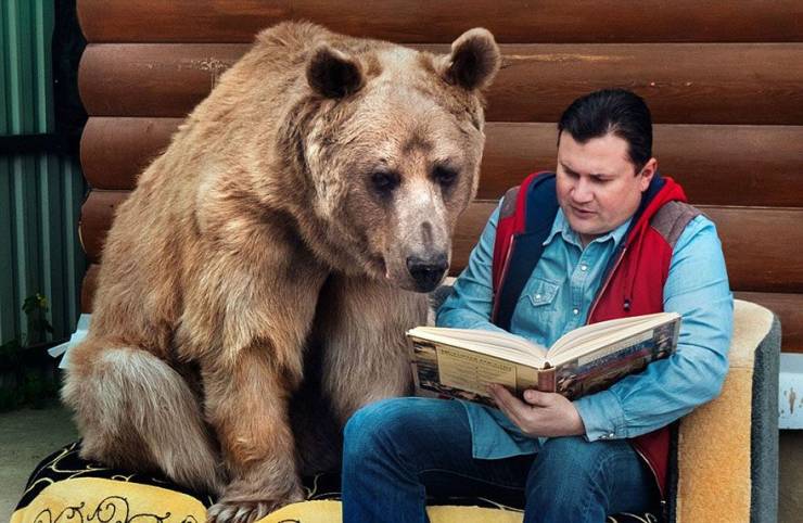 funny meme - man reading a book to his bear