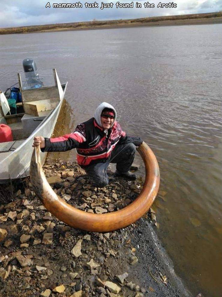 water transportation - A mammoth tusk just found in the Arctic