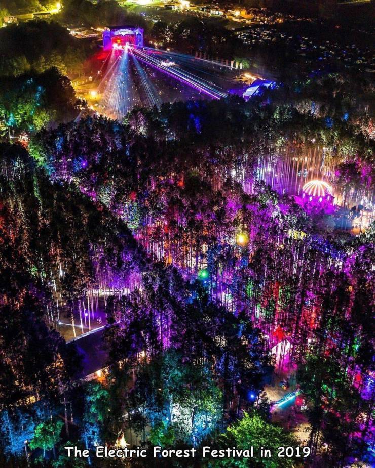 electric forest festival - The Electric Forest Festival in 2019